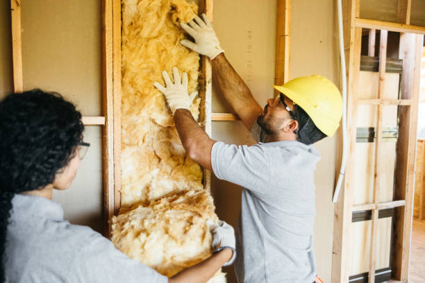 Best Home Insulation Services  in Smiths Station, AL