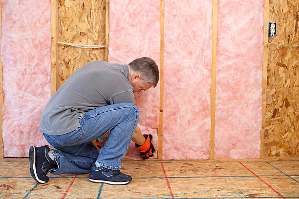 Best Local Insulation Services  in Smiths Station, AL