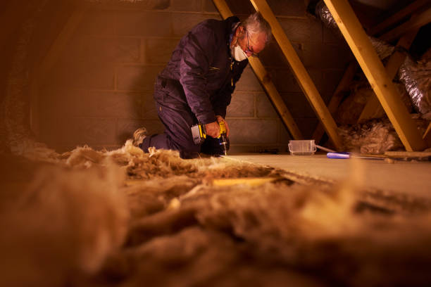 Professional Insulation Contractor in Smiths Station, AL